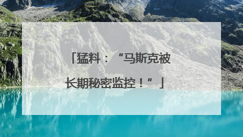 猛料：“马斯克被长期秘密监控！”